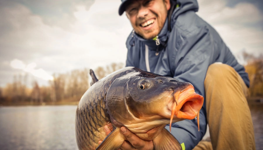 Шабровский Пруд - Платная Рыбалкаа в Екатеринбурге: Рыбалка, Озеро, Корпоратив,