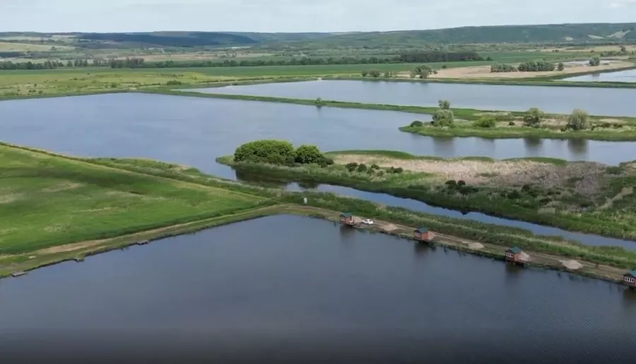 Кайбицкий рыбхоз - 80 км от Казани в Казани: Рыбалка Платная, Платный Пруд, Отдых на Природе, Поехать на Пикник, Клёвая Рыбалка, Кайбицкий Пруд, Рыбалка в Казани, База отдыха,