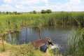 Миниатюра 8