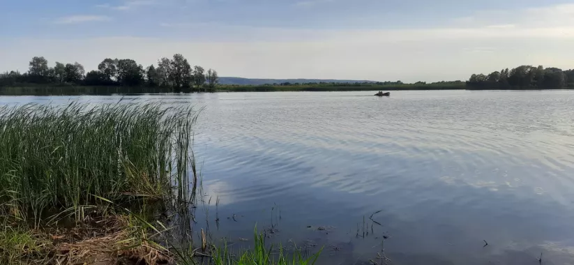 База отдыха "ЗАЙМИЩЕ"