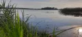 Миниатюра 22
