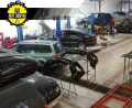 Миниатюра 7