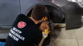Миниатюра 14