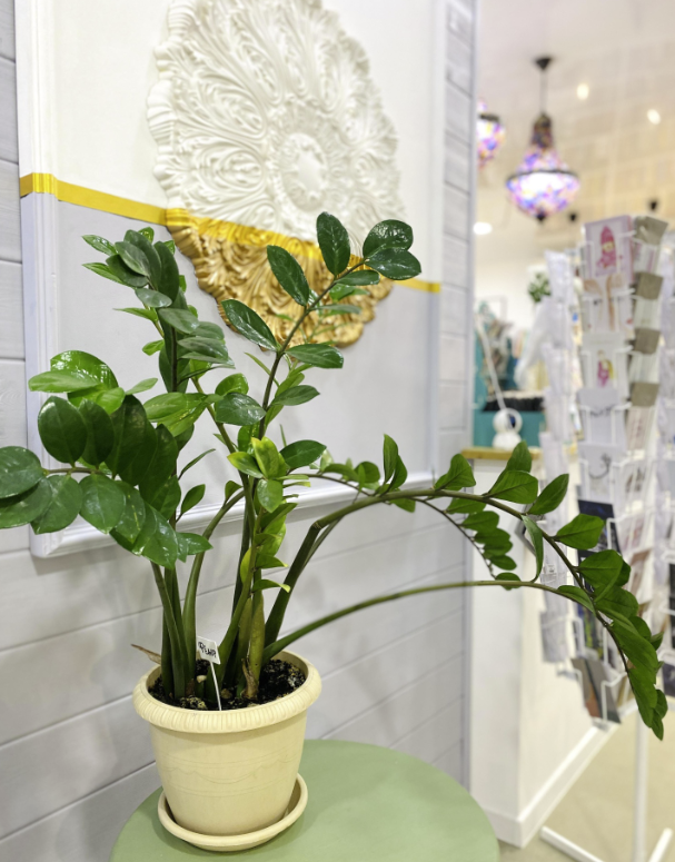 ​Книжный магазин и кофейня "Перед прочтением сжечь"