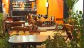 Миниатюра 8