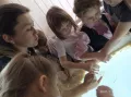 Миниатюра 8