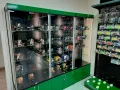 Миниатюра 8