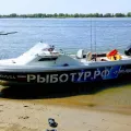 Миниатюра 12