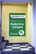Миниатюра 12
