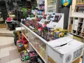 Миниатюра 10