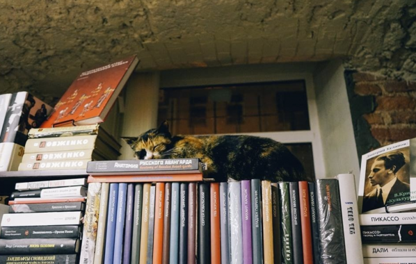 Книжный магазин "Свои книги"