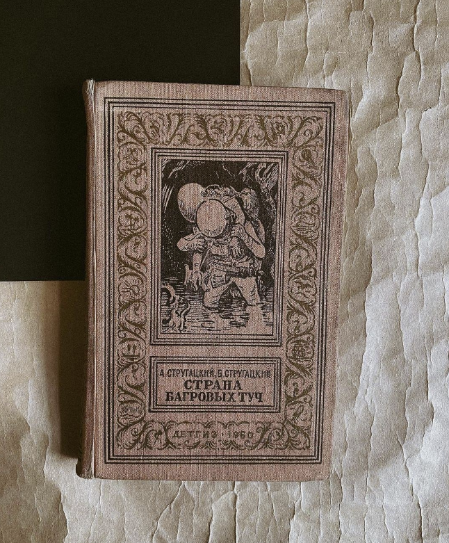 ​Букинистический магазин "Книжная ветка"