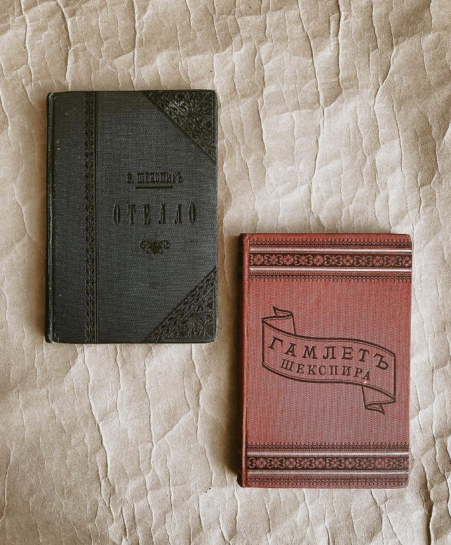 ​Букинистический магазин "Книжная ветка"