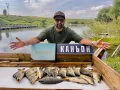 Миниатюра 12