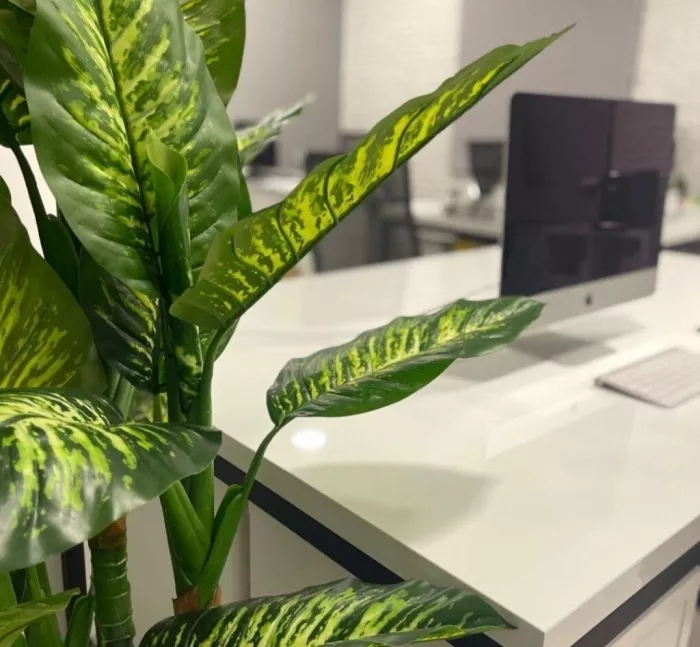 Коворкинг СИП