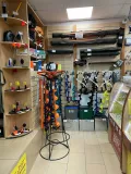 Миниатюра 6