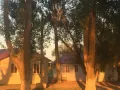 Миниатюра 10
