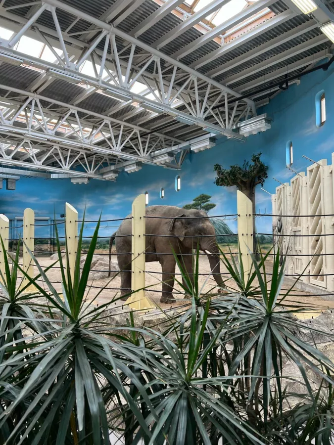 Река Замбези в Казани: Зоопарк, Любимцы, Kids, Чилим, Дети, Природа, Zoo, Animals,