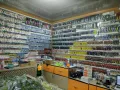 Миниатюра 8