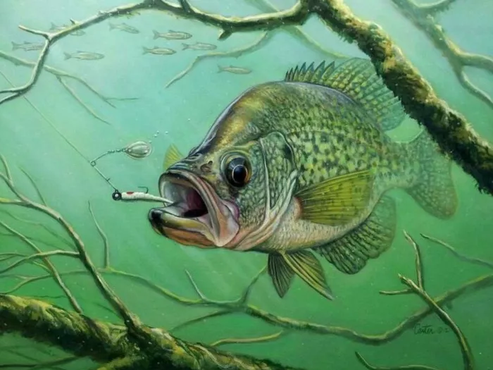 MasterFish. Товары для Рыбалки  в  Астане