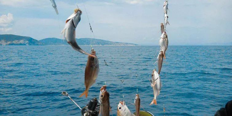 Морская рыбалка. Рыболовный клуб