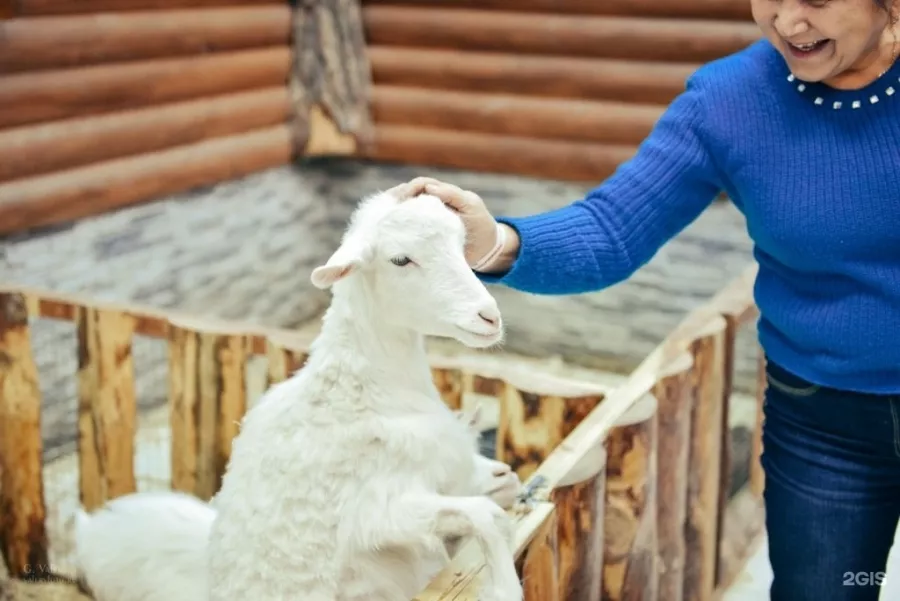 Зоопарк Обнимашки в Уфе: Животные, Зоопарк, Детям, Природа,