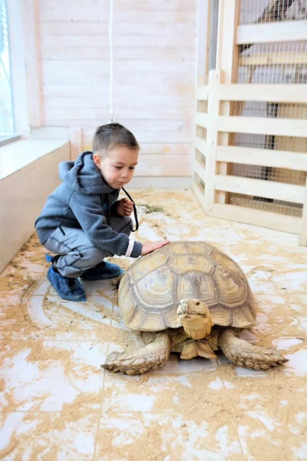 Зоопарк Обнимашки в Уфе: Животные, Зоопарк, Детям, Природа,