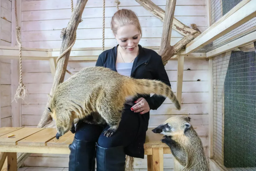 Зоопарк Обнимашки в Уфе: Животные, Зоопарк, Детям, Природа,