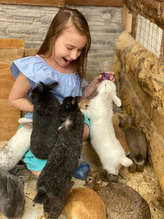 Зоопарк Обнимашки в Уфе: Животные, Зоопарк, Детям, Природа,