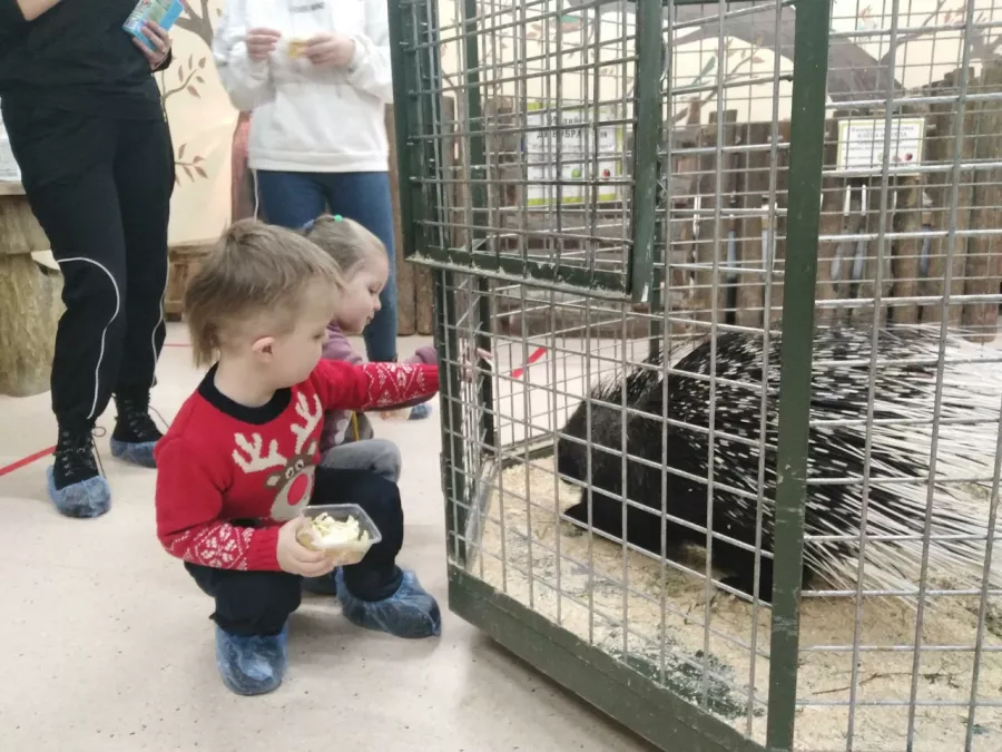 Зоопарк Лесное посольство в Уфе: Животные, Зоопарк, Детям, Природа,