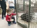 Миниатюра 14