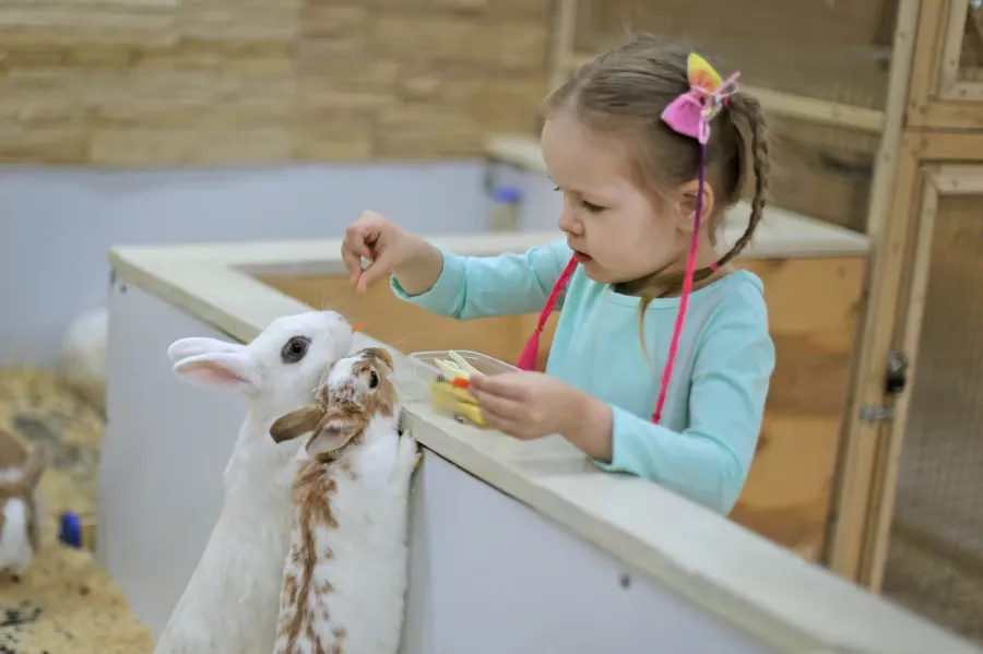 Зоопарк Лесное посольство в Уфе: Животные, Зоопарк, Детям, Природа,