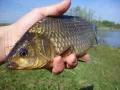 Миниатюра 8