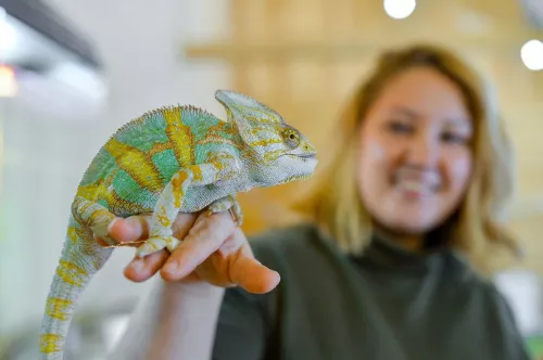 Зоопарк Вилла  в  Омске