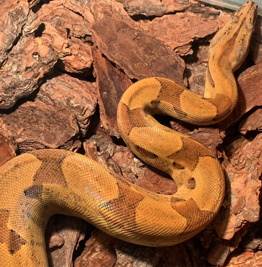 Зоопарк Вилла в Омске: Зоопарк, Любимцы, Дети, Чилим, Nature, Природа, Zoo, Animals, День рождение,