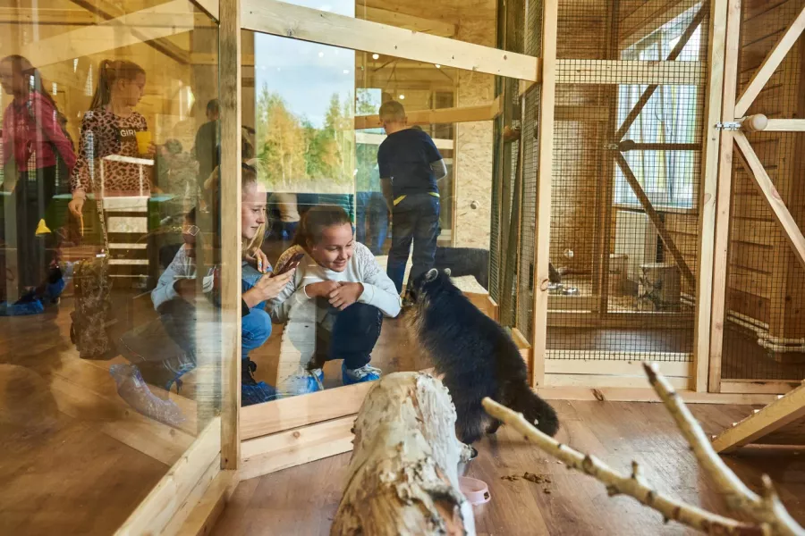 Зоопарк Вилла в Омске: Зоопарк, Любимцы, Дети, Чилим, Nature, Природа, Zoo, Animals, День рождение,