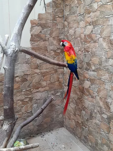 Детский зоопарк  в  Омске