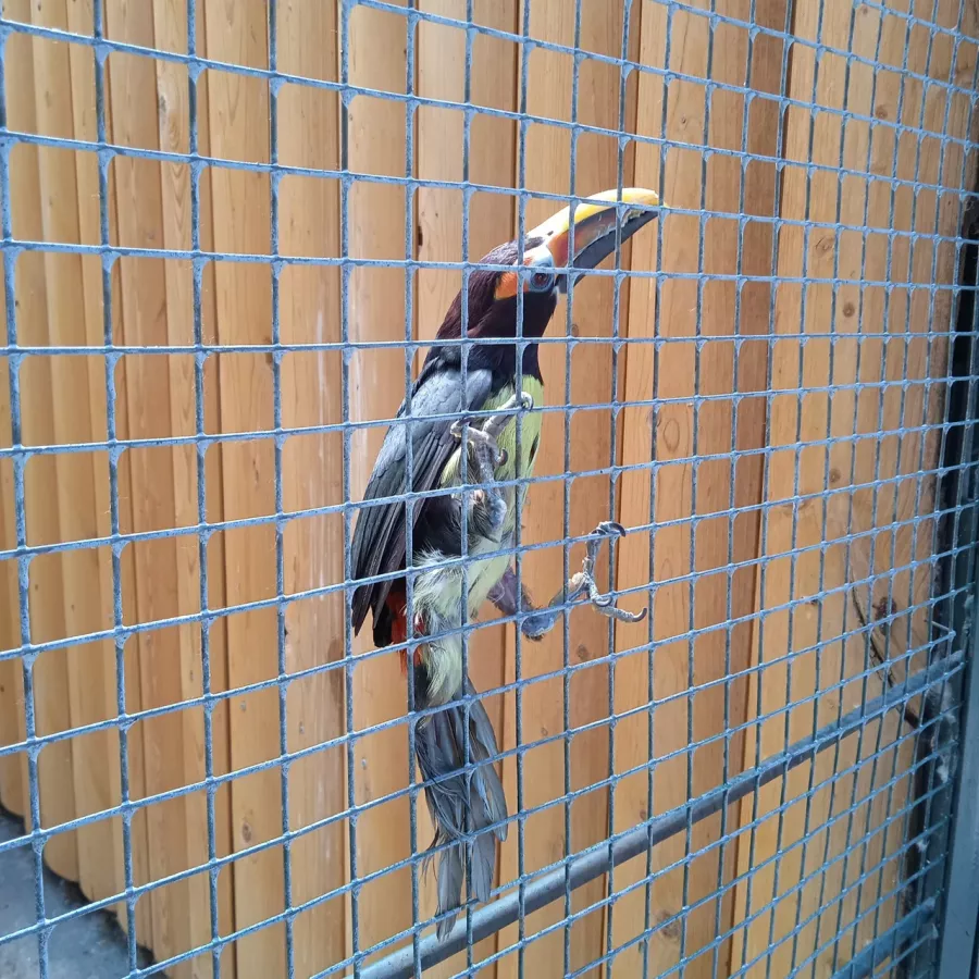 Детский зоопарк в Омске: Животные, Зоопарк, Детям, Природа,