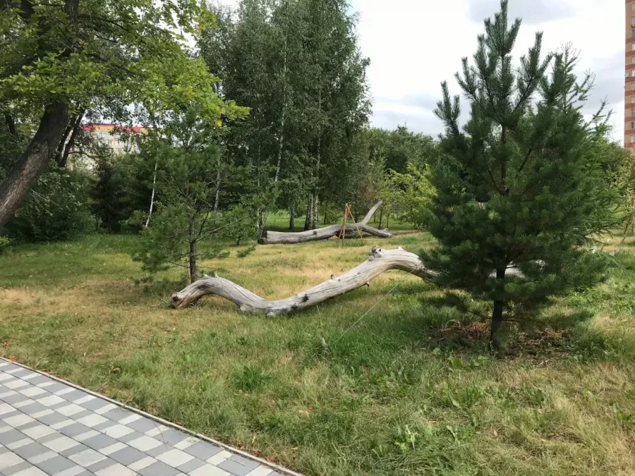 Детский зоопарк в Омске: Животные, Зоопарк, Детям, Природа,