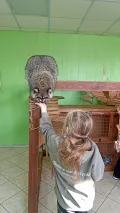 Миниатюра 4