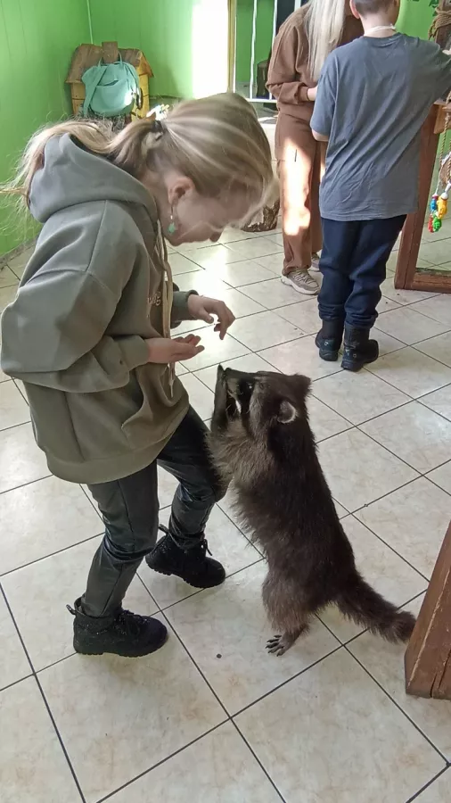 Зоопарк Ракуна_Матата в Омске: Животные, Зоопарк, Детям, Природа,