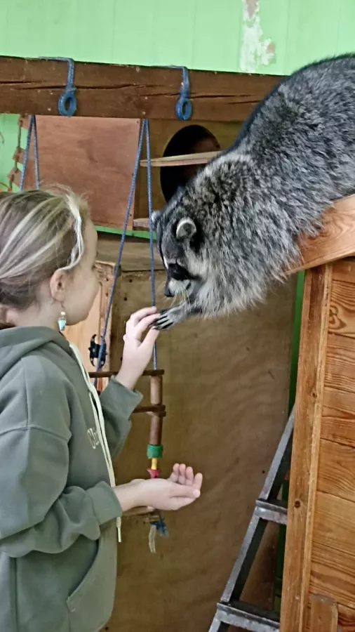 Зоопарк Ракуна_Матата в Омске: Животные, Зоопарк, Детям, Природа,