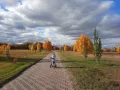Миниатюра 15