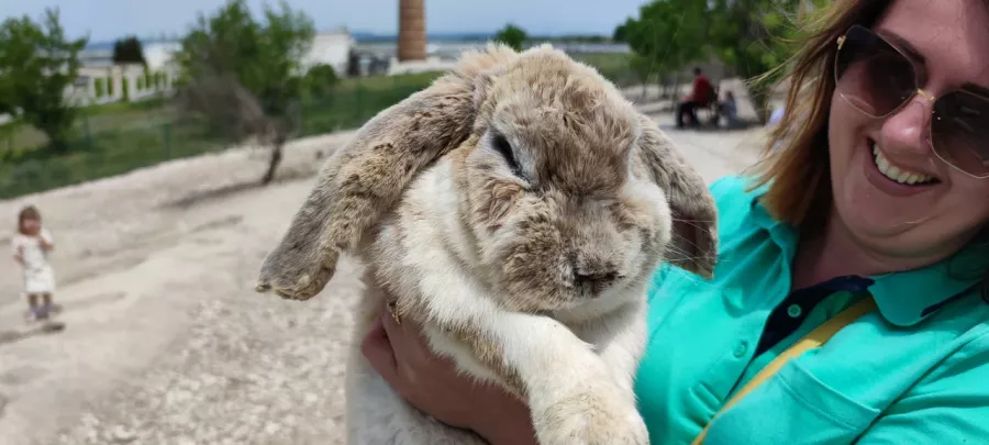 Кроликопарк 2 в Севастополе: Зоопарк, Любимцы, Дети, Чилим, Nature, Природа, Zoo, Animals,