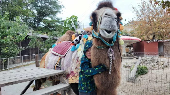 Мини-зоопарк  в  Бахчисарае