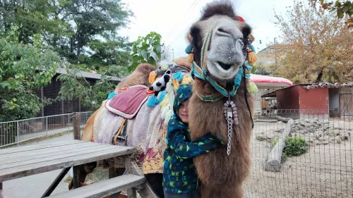 Мини-зоопарк  в  Бахчисарае