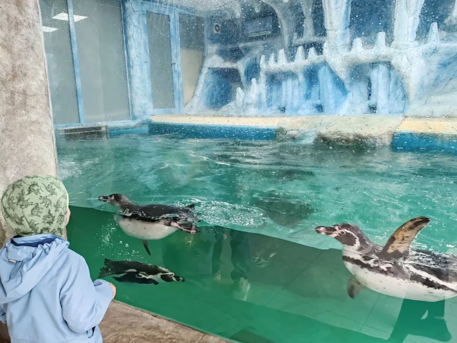 Мини-зоопарк в Бахчисарае: Зоопарк, Природа, Кафе, Детям, Животные,