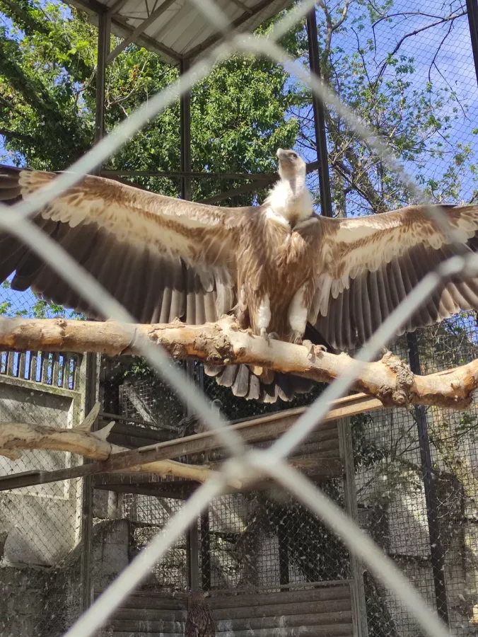 Мини-зоопарк в Бахчисарае: Зоопарк, Природа, Кафе, Детям, Животные,