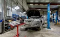 Миниатюра 17