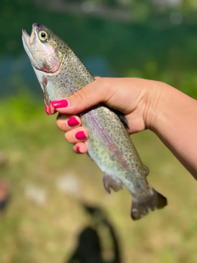 Рыбино. Турбаза в Красной Поляне: Рыбалка,